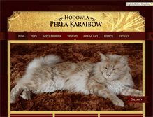 Tablet Screenshot of perlakaraibow.pl
